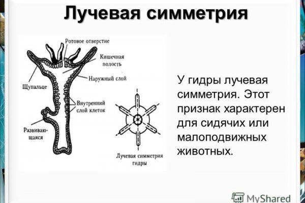 Кракен 16 даркнет продаж